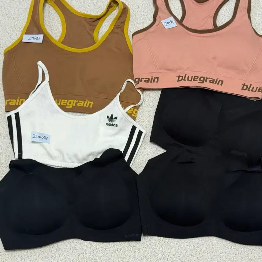 [BUNJANG] Set of 6 Bras / 브라탑 6종