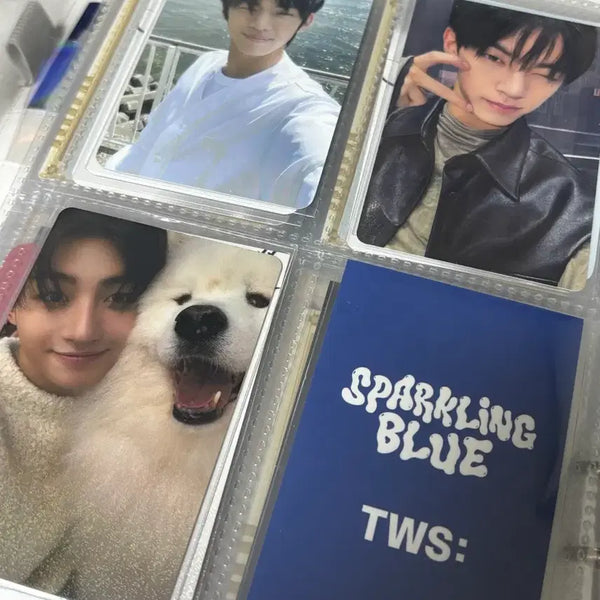 [BUNJANG] TWS Dohoon Photocard / 투어스 도훈 포카 판매 양도 신유 도훈 영재 지훈 한진 경민