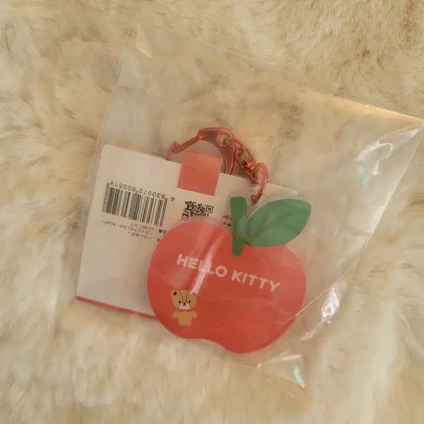 [BUNJANG] Sanrio Characters Kitty Magnet Keychain / 산리오 캐릭터즈 키티 마그넷 키링