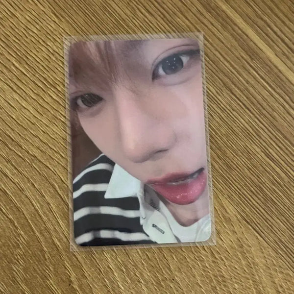 [BUNJANG] Zhang Shuai Bo Sound Bomb 360 Official Photocard / 아홉 ahof 장슈아이보 공방 포카