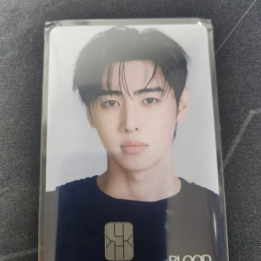 [BUNJANG] ENHYPEN Sunghoon Blood Sangha Namane Card / 엔하이픈 성훈 블러드사가 나마네카드