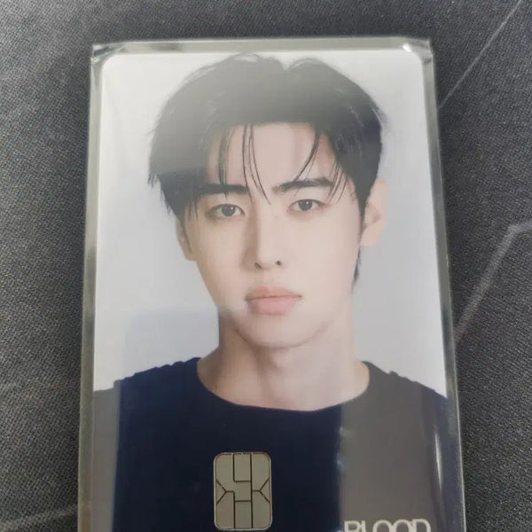 [BUNJANG] ENHYPEN Sunghoon Blood Sangha Namane Card / 엔하이픈 성훈 블러드사가 나마네카드