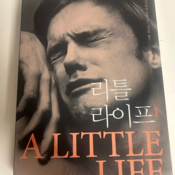 [BUNJANG] Little Life 1 / 리틀라이프1
