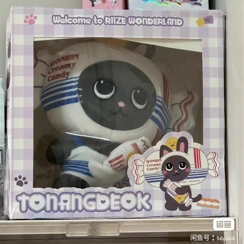 [BUNJANG] RIIZE Wonbin Doll (Pre-order) / 예판 라이즈 원빈 인형 박스 없음