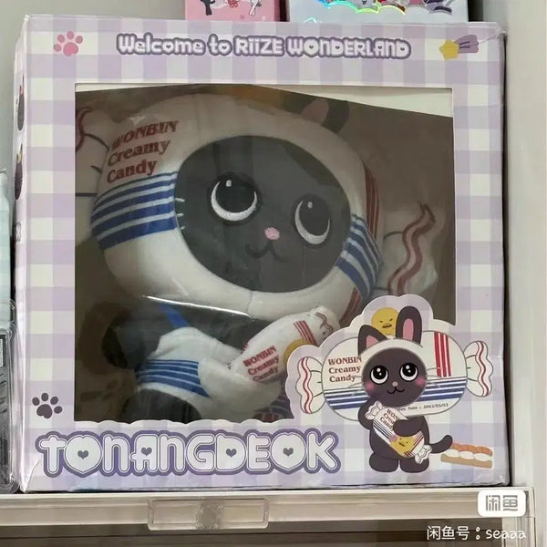 [BUNJANG] RIIZE Wonbin Doll (Pre-order) / 예판 라이즈 원빈 인형 박스 없음