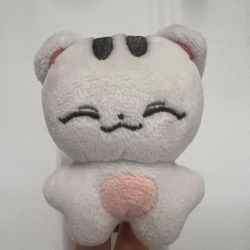 [BUNJANG] SEVENTEEN Doll JOSHUA Shruamji / 세븐틴 인형 슈람지 조슈아