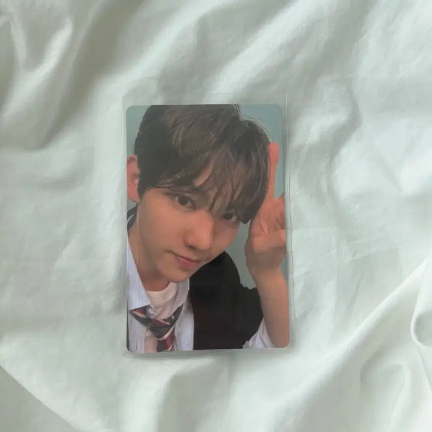 [BUNJANG] Panzeri Photocard / 판저이 포카 양도