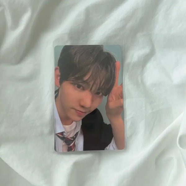[BUNJANG] Panzeri Photocard / 판저이 포카 양도