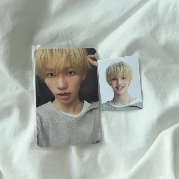 [BUNJANG] Panzy Photocard / 판저이 포카 양도
