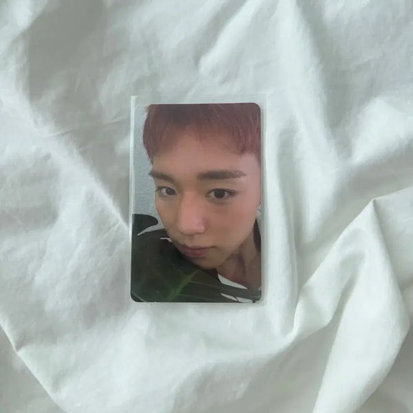 [BUNJANG] Park Jihoon Reflect Photocard / 박지훈 리플렉트 포카 양도