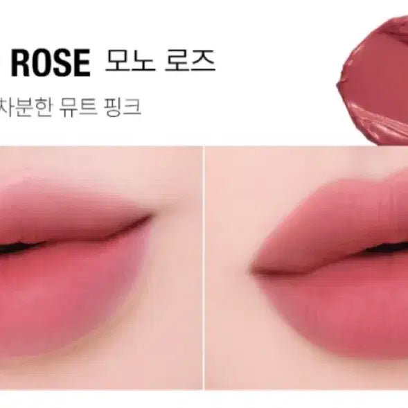 [BUNJANG] toocoolforschool Art Class Fixing Blur Lip 07 Mono Rose / 투쿨포스쿨 아트클래스 픽싱 블러 립 07 모노로즈