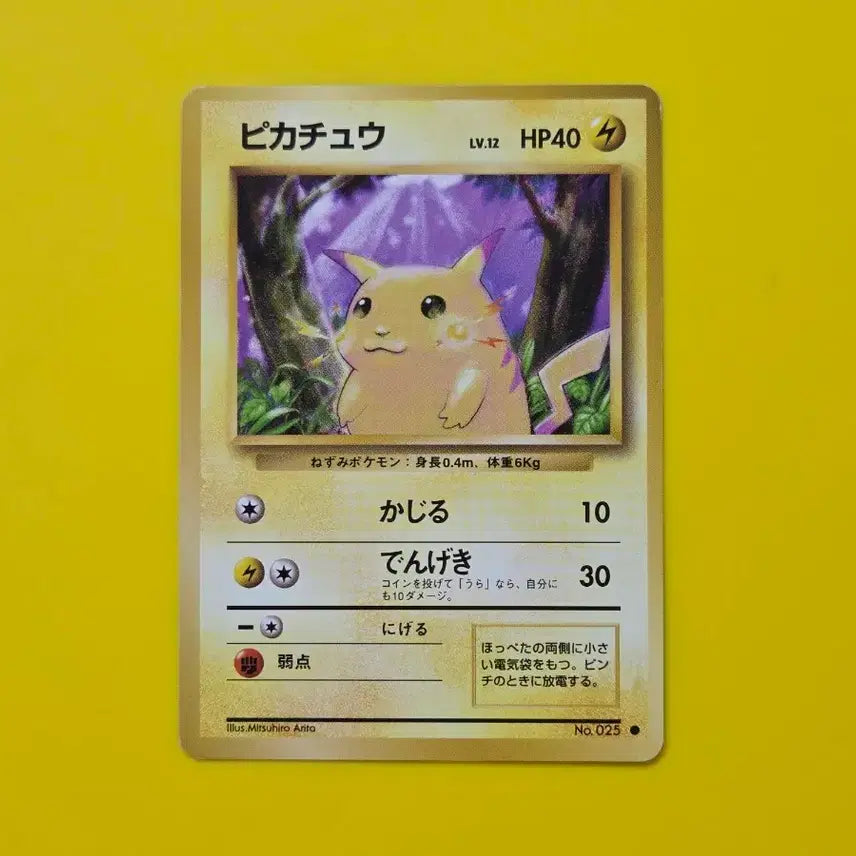 [BUNJANG] Pokemon Card Pikachu Japanese 1996 / 포켓몬카드 1996 큰 피카츄 일판 일본판8