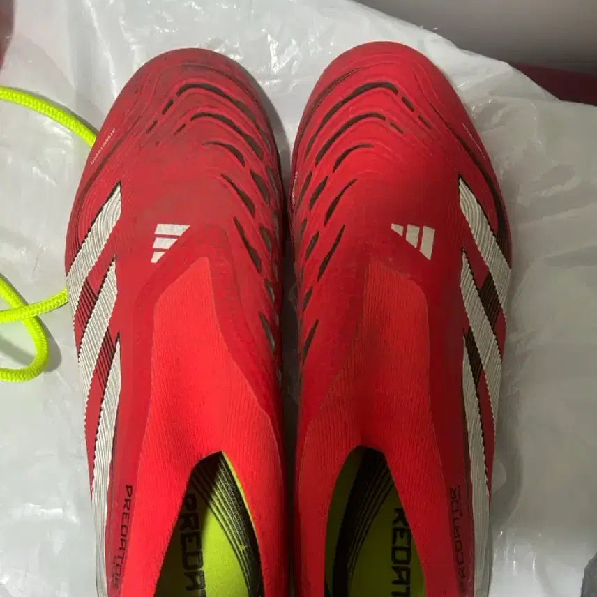 [BUNJANG] Adidas Predator LL FG / 아디다스 프레데터 LL FG