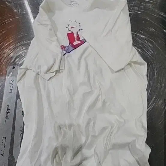 [BUNJANG] Nike Adidas Hajis Jordan T-shirts Hoodies XL / 나이키,아디다스,헤지스,조던 반팔티후드티 xl