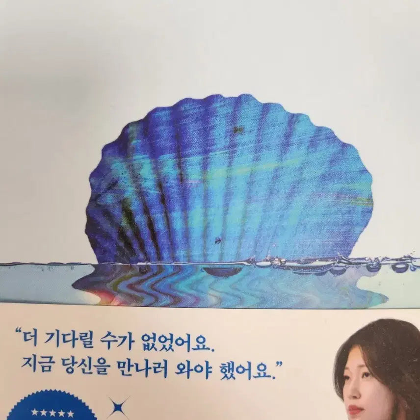 [BUNJANG] Double-Sided Seashell / 양면의 조개껍데기