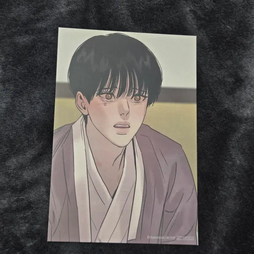 [BUNJANG] Yaseong Dynasty Yak Hwa Cheop Postcard / 야화첩 모펀 엽서