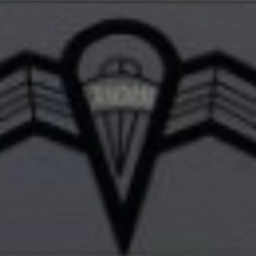 [BUNJANG] Republic of Korea Marine Corps Air Force Training T-shirt / 해병대 공수 차수티 구매합니다!