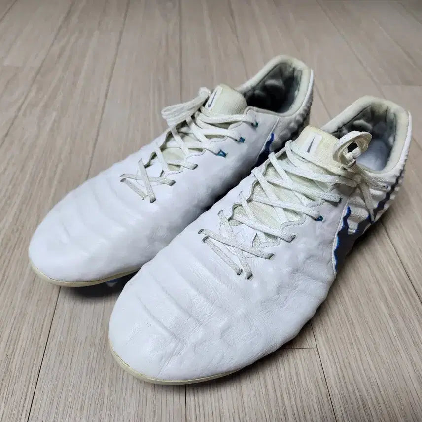 [BUNJANG] Nike Tiempo Legend 7 Elite SG-PRO Soccer Cleats (Size 290) / 나이키 티엠포 선수화 레전드7 SG-PRO 290사이즈