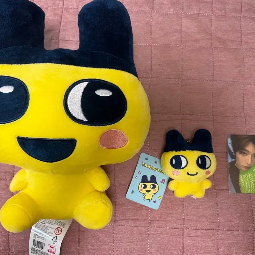 [BUNJANG] NCT WISH Sion Photocard / 다마고치 마메치 인형 & 엔시티위시 시온 포카