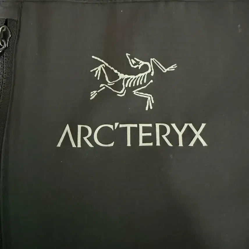 [BUNJANG] Arc'teryx Squamish Hoody Black L / [L, 정품]아크테릭스 스쿼미시 후디 블랙