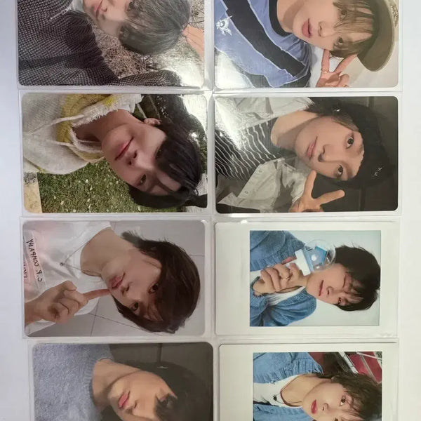[BUNJANG] BOYNEXTDOOR Seongho & Leehan JP Album Split Set / 보넥도 탈덕 처분(성호 위주)