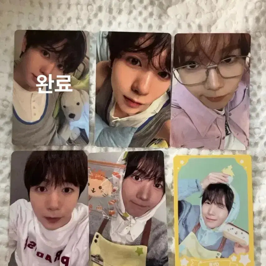 [BUNJANG] NCT WISH Ryo Bundle Set Photocard / 엔시티 위시 료 포카 일괄 판매