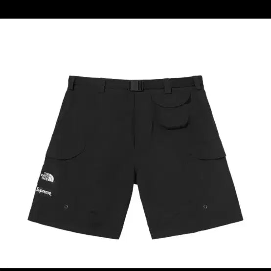 [BUNJANG] Supreme 22SS x The North Face Trackable Packable Belt Shorts L / 슈프림 22ss x 노스페이스 트래킹 패커블 벨트 쇼츠 L