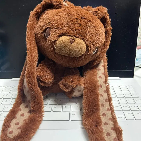 [BUNJANG] Valentine Chocolate Bunny Plush / 발렌타인 초코 범용토끼!