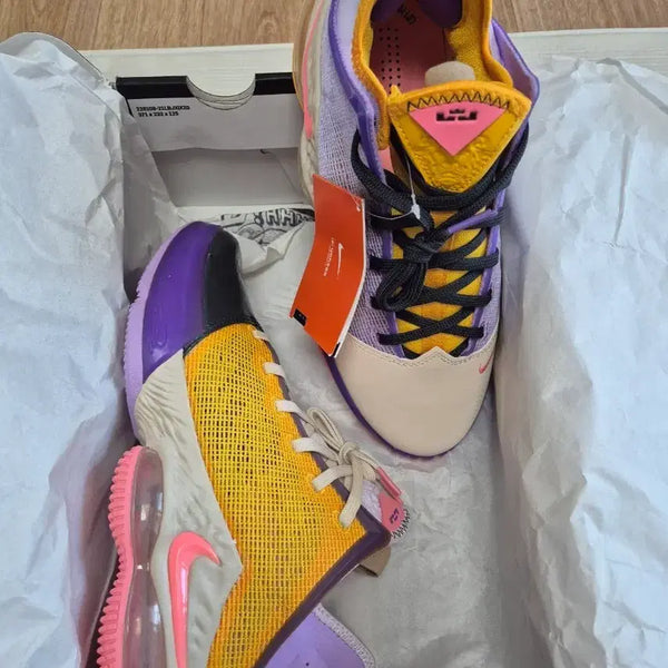 [BUNJANG] Nike LeBron 19 Low Multicolor Basketball Shoes / 나이키 르브론 19 로우 멀티컬러 농구화