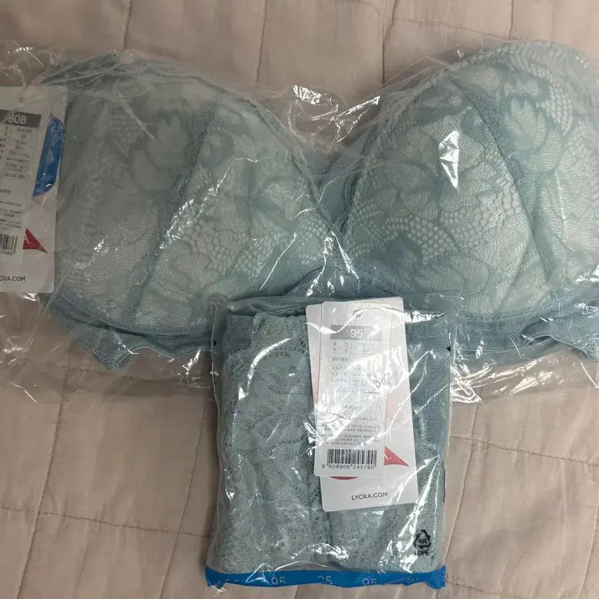 [BUNJANG] Vivian Lace Bra and Panty Set (80B, 95) / 비비안 속옷(브래지어, 팬티) 세트