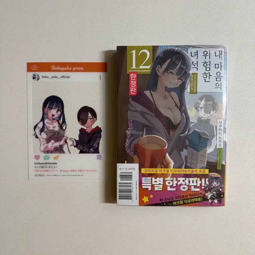 [BUNJANG] Dangerous Things Within My Heart Vol. 12 Limited Edition (Sealed) / [미개봉] 내 마음의 위험한 녀석 12 한정판