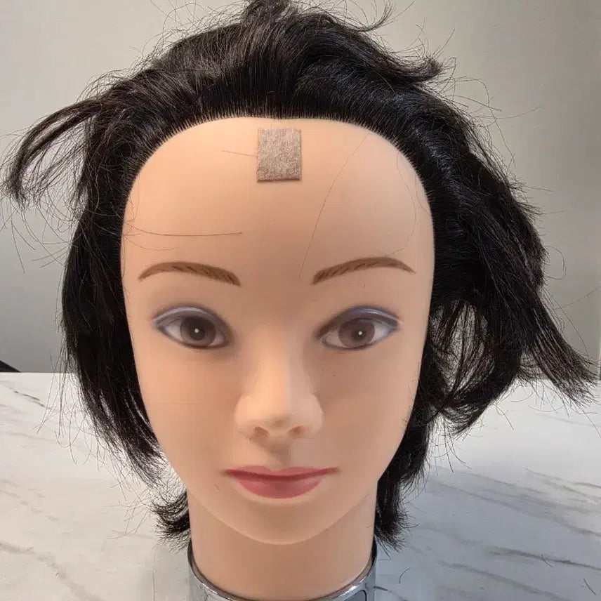 [BUNJANG] Cheonhyein 100% Human Hair Perm Practice Wig / 천혜인 통가발 파마연습용 인모100%