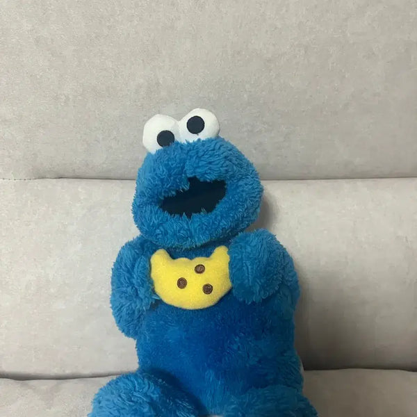 [BUNJANG] Cookie Monster Plush Toy / 쿠키몬스터 봉제인형