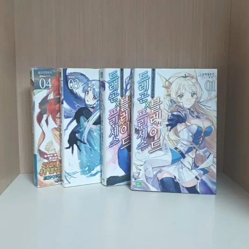 [BUNJANG] Dragon X Princess X Blade Vol. 1-4 Light Novel Bundle / 할인) 드래곤X프린세스X블레이드1~4 일괄 라노벨