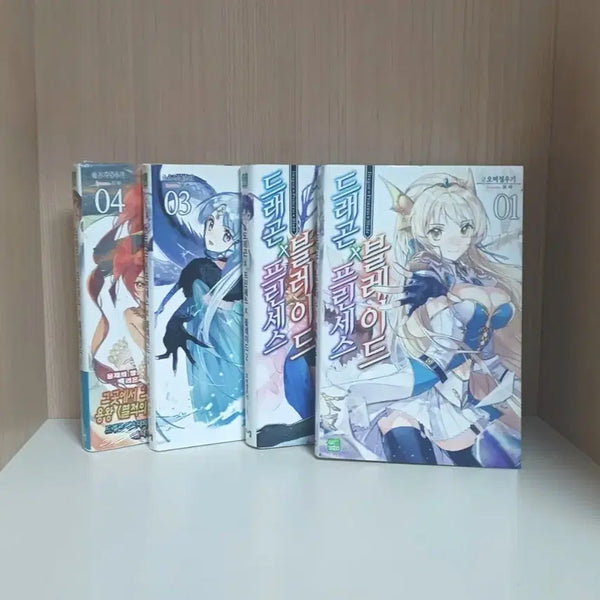 [BUNJANG] Dragon X Princess X Blade Vol. 1-4 Light Novel Bundle / 할인) 드래곤X프린세스X블레이드1~4 일괄 라노벨