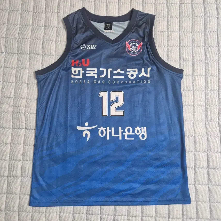 [BUNJANG] Korea Gas Corporation Pegasus Home Jeong Hyogeun #12 Jersey (Men's M) / 한국가스공사 페가수스 홈 (M) 정효근 #12 유니폼 정품