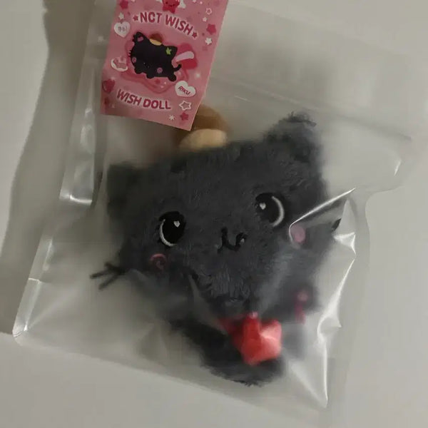 [BUNJANG] Wishdoll Kuri Sealed / 위시돌 쿠리 미개봉