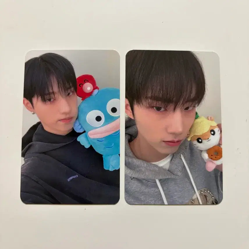 [BUNJANG] P1Harmony Keeho Jiwoong Sad Song Interasia Photocard / 피원하모니 새드송 인터아시아 기호 지웅 포카