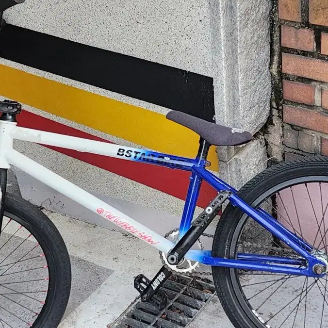 [BUNJANG] BSTAR BMX Custom Bike / BSTAR BMX 풀커스텀 어그로xx