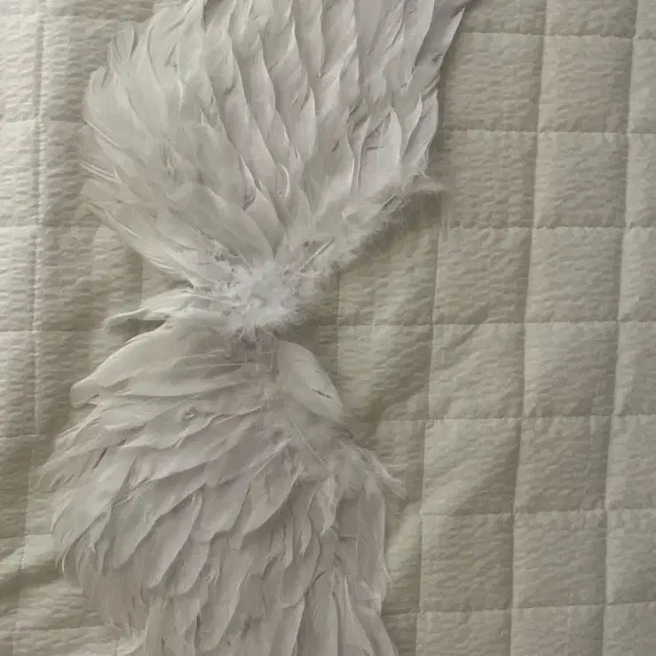 [BUNJANG] Angel Wing Costume Prop Set (3 Pieces) / 천사 날개 코스튬 소품 세트 3개해서 한가격