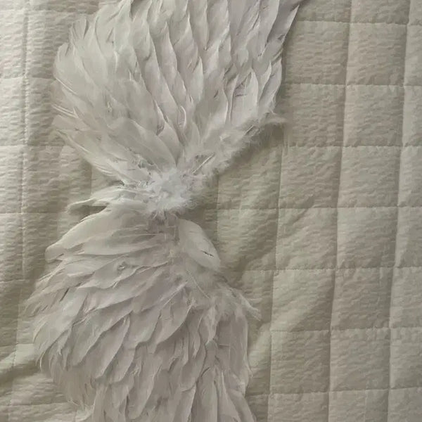 [BUNJANG] Angel Wing Costume Prop Set (3 Pieces) / 천사 날개 코스튬 소품 세트 3개해서 한가격
