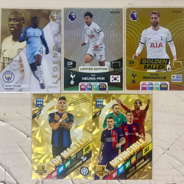 [BUNJANG] Panini Soccer Cards Bundle (321 Cards) + Case / 파니니 축구카드 총 321장 처분+케이스