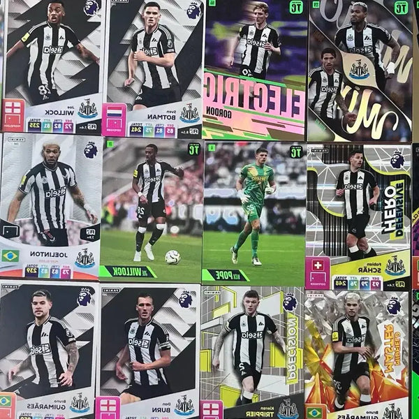 [BUNJANG] Newcastle United Panini Card Bundle - 18 Cards / 뉴캐슬 파니니 모음 묶음판매18장