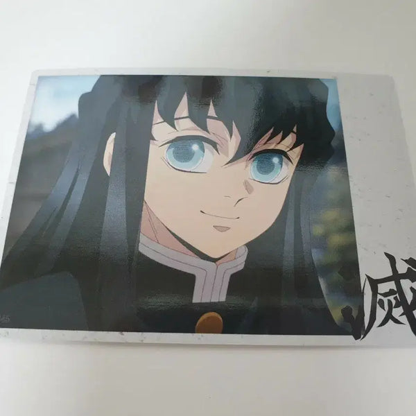 [BUNJANG] Demon Slayer Muichiro Tokito Paper Photocard / 귀멸의칼날 토키토 무이치로 포토카드 지류 귀칼