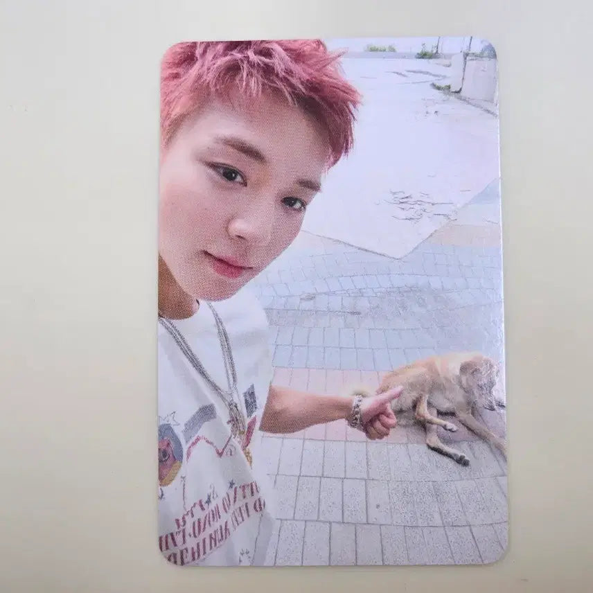 [BUNJANG] Park Ji Hoon Popup Dog Photocard / 박지훈 팝업 강아지 포카