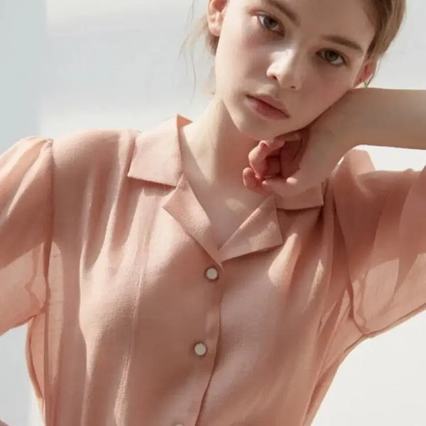 [BUNJANG] JURTI Organza Blouse / 주르띠 오간자 블라우스