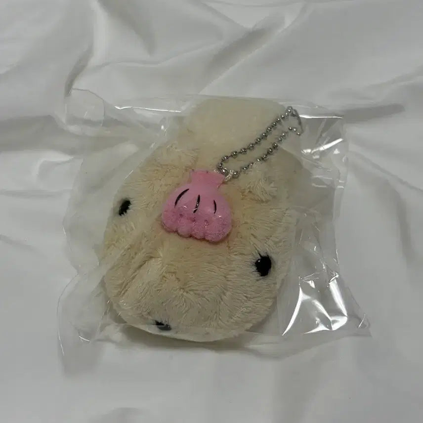 [BUNJANG] Capybara with Shell / 카피바라상 조개
