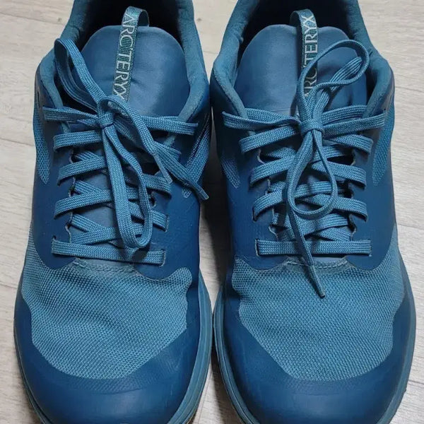 [BUNJANG] Arc'teryx Norvan LD 2 Trail Running Shoes 250mm / 아크테릭스 노르반 LD 2 트레일 러닝화 250