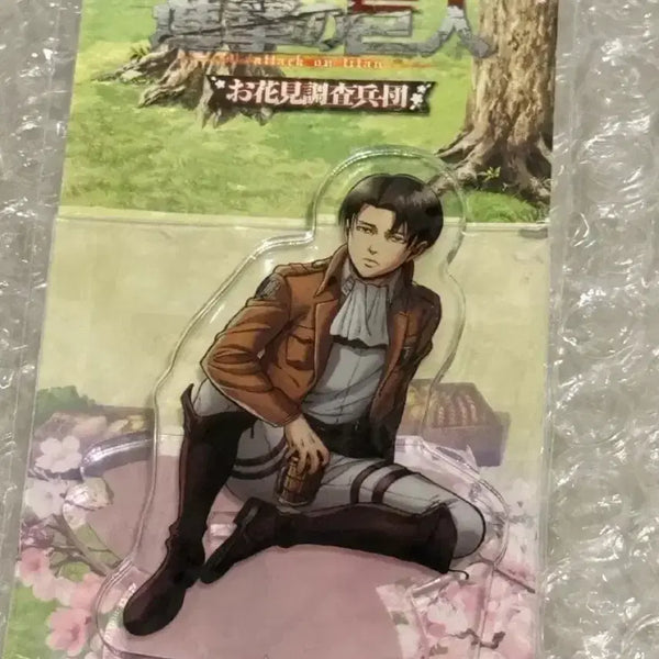 [BUNJANG] Attack on Titan Levi Survey Corps Cherry Blossom Festival Acrylic Stand (Sealed) / 택포14 미개봉 리바이 조사병단 꽃놀이 아크릴스탠드