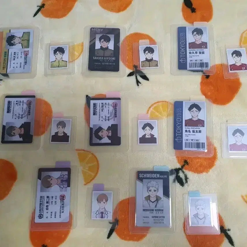 [BUNJANG] Haikyu!! Rimomom Student ID, Team ID, National ID & Photo Bundle Set / 하이큐 ㄹㅁㅁ님 학생증 구단증 국대증  증사 포함 굿즈 일괄 양도 판매